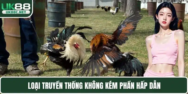 Đá Gà UK88 Mang Đến Các Trận Chọi Kê Đẳng Cấp Nhất