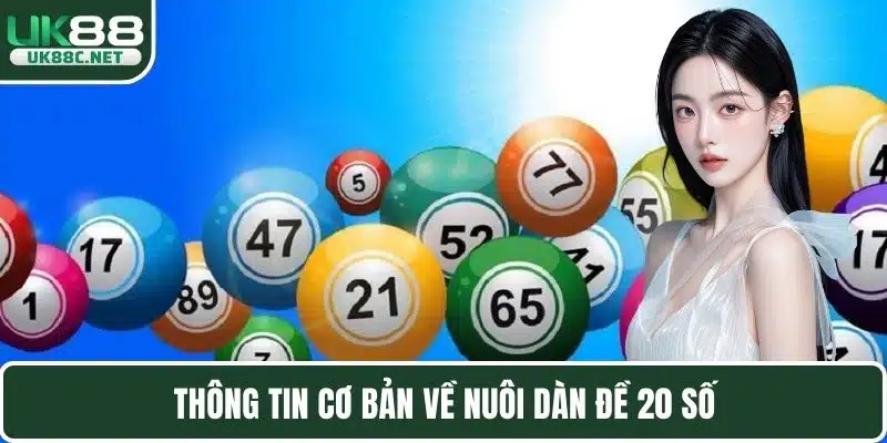 Nuôi Dàn Đề 20 Số Hiệu Quả, Thống Kê Chuẩn Xác Nhất