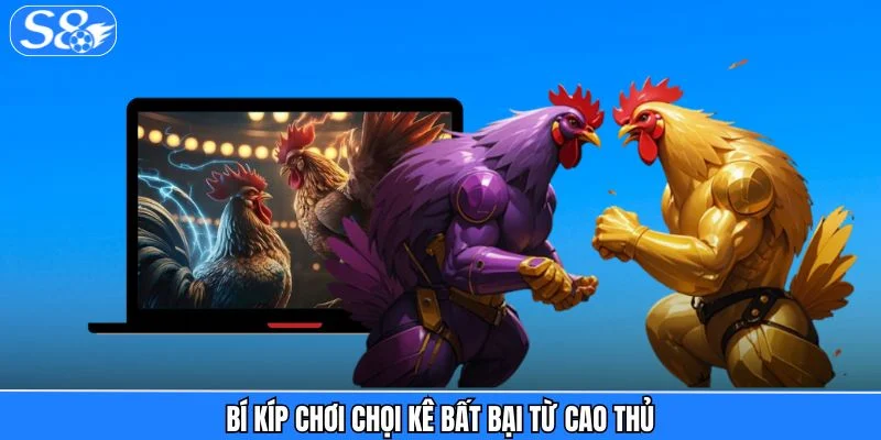 Đá Gà S8 - Hệ Sinh Thái Chiến Kê Chuẩn Quốc Tế 2026 Đá Gà S8 - Hệ Sinh Thái Chiến Kê Chuẩn Quốc Tế 2026