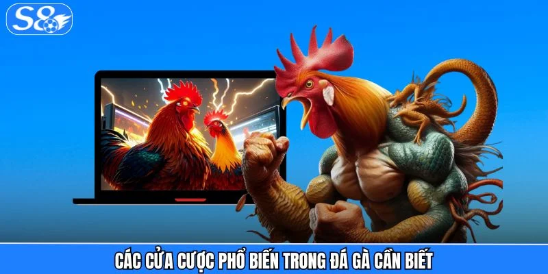 Đá Gà S8 - Hệ Sinh Thái Chiến Kê Chuẩn Quốc Tế 2026 Đá Gà S8 - Hệ Sinh Thái Chiến Kê Chuẩn Quốc Tế 2026