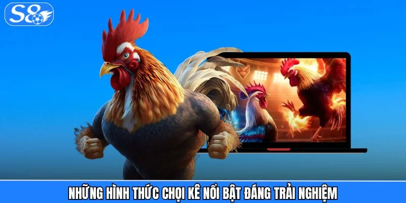 Đá Gà S8 - Hệ Sinh Thái Chiến Kê Chuẩn Quốc Tế 2026 Đá Gà S8 - Hệ Sinh Thái Chiến Kê Chuẩn Quốc Tế 2026
