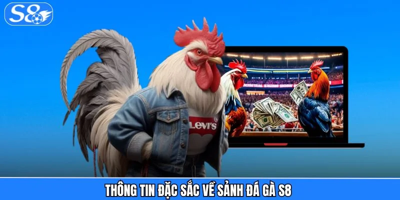 Đá Gà S8 - Hệ Sinh Thái Chiến Kê Chuẩn Quốc Tế 2026 Đá Gà S8 - Hệ Sinh Thái Chiến Kê Chuẩn Quốc Tế 2026