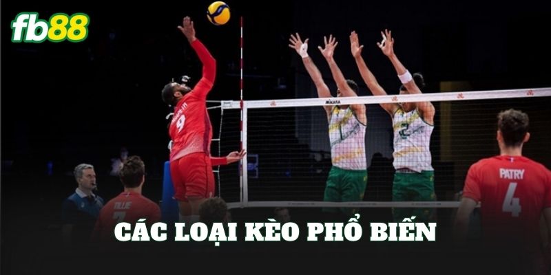 Cá Cược Bóng Chuyền: Hướng Dẫn Chơi Kèo Hiệu Quả
