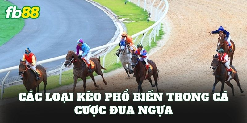 Cá Cược Đua Ngựa Là Gì? Cách Chơi Chi Tiết Cho Người Mới
