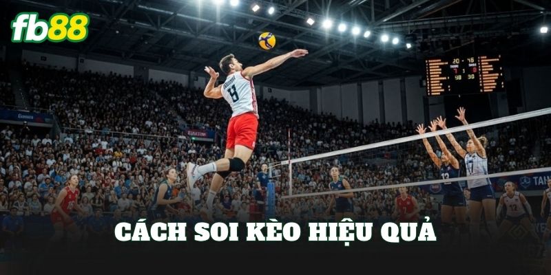Cá Cược Bóng Chuyền: Hướng Dẫn Chơi Kèo Hiệu Quả