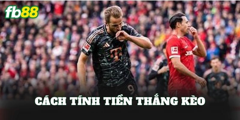 Kèo Xiên Là Gì? Cách Chơi Kèo Hiệu Quả Cho Anh Em Kèo Xiên Là Gì? Cách Chơi Kèo Hiệu Quả Cho Anh Em