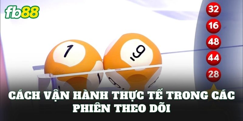 Nuôi Khung Bạch Thủ Lô: Cách Chơi Chuẩn Tư Duy FB88 Nuôi Khung Bạch Thủ Lô: Cách Chơi Chuẩn Tư Duy FB88