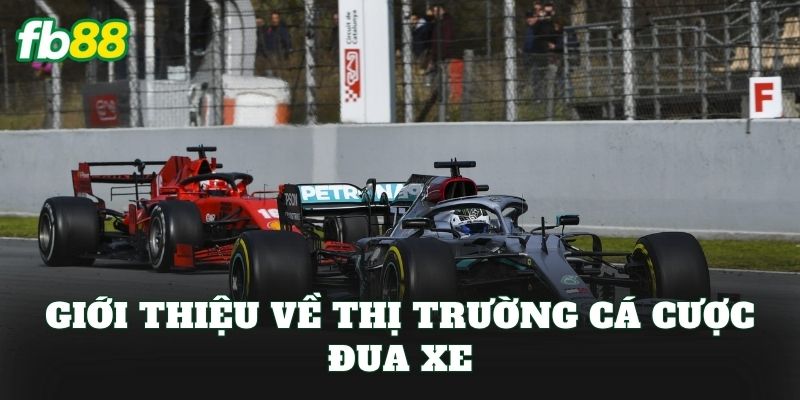 Cá Cược Đua Xe: Chiến Thuật Từ Cơ Bản Đến Nâng Cao Cá Cược Đua Xe: Chiến Thuật Từ Cơ Bản Đến Nâng Cao