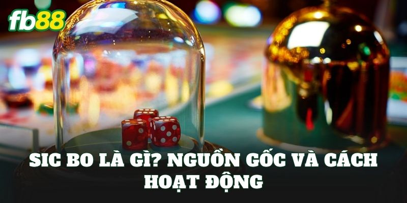 Sic Bo Là Gì? Luật Chơi, Mẹo Thắng Tại FB88 Sic Bo Là Gì? Luật Chơi, Mẹo Thắng Tại FB88
