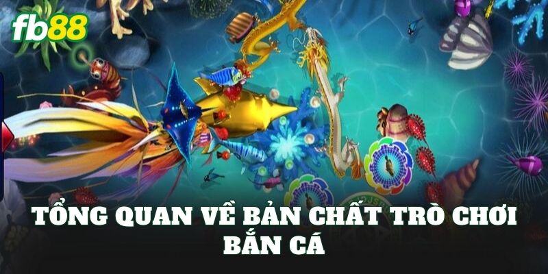 Cách Hack Máy Bắn Cá: Góc Nhìn Thực Tế Khi Chơi Tại FB88 Cách Hack Máy Bắn Cá: Góc Nhìn Thực Tế Khi Chơi Tại FB88