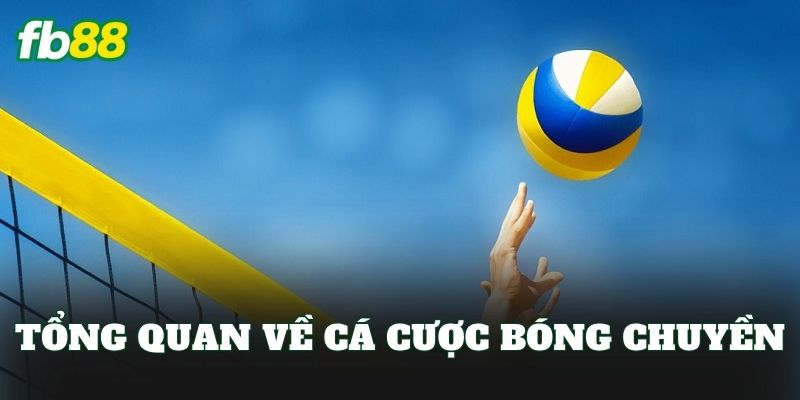 Cá Cược Bóng Chuyền: Hướng Dẫn Chơi Kèo Hiệu Quả