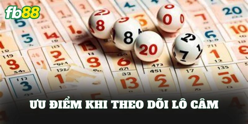 Lô Câm Là Gì? Cách Chơi Lô Câm Trong Thống Kê Xổ Số FB88 Lô Câm Là Gì? Cách Chơi Lô Câm Trong Thống Kê Xổ Số FB88