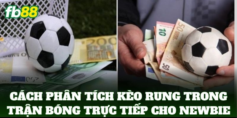 Phân Tích Kèo Rung Trong Trận Bóng Trực Tiếp Chuẩn FB88 Phân Tích Kèo Rung Trong Trận Bóng Trực Tiếp Chuẩn FB88