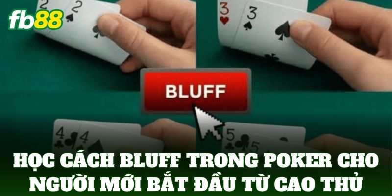 Cách Bluff Trong Poker Cho Người Mới Bắt Đầu Chơi Tại FB88 Cách Bluff Trong Poker Cho Người Mới Bắt Đầu Chơi Tại FB88