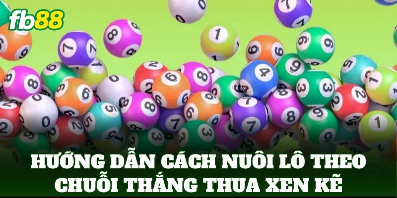 Cách Nuôi Lô Theo Chuỗi Thắng Thua Xen Kẽ Từ Cao Thủ FB88 Cách Nuôi Lô Theo Chuỗi Thắng Thua Xen Kẽ Từ Cao Thủ FB88