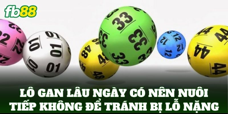 Lô Gan Lâu Ngày Có Nên Nuôi Tiếp Không: Lời Khuyên FB88 Lô Gan Lâu Ngày Có Nên Nuôi Tiếp Không: Lời Khuyên FB88