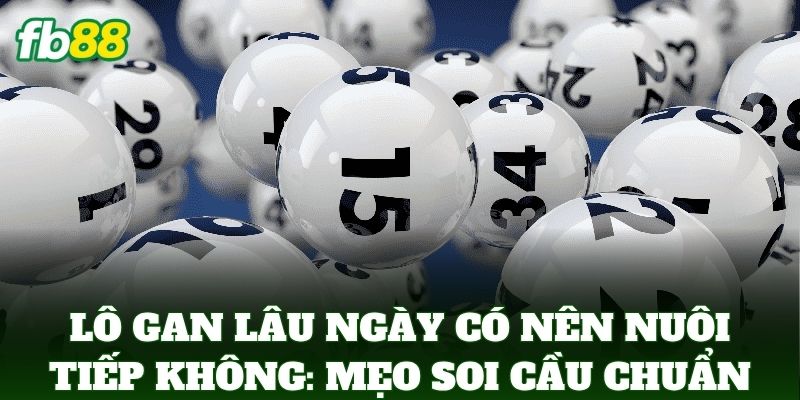 Lô Gan Lâu Ngày Có Nên Nuôi Tiếp Không: Lời Khuyên FB88 Lô Gan Lâu Ngày Có Nên Nuôi Tiếp Không: Lời Khuyên FB88