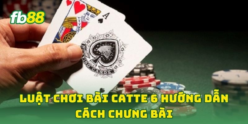 Luật Chơi Bài Catte 6: 5 Kinh Nghiệm Hay Giúp Về Bờ Siêu Tốc Luật Chơi Bài Catte 6: 5 Kinh Nghiệm Hay Giúp Về Bờ Siêu Tốc