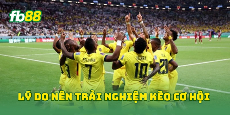 Kèo Cơ Hội Kép Hôm Nay - 7 Bí Kíp Nhận Định Tỷ Lệ Thắng Cao! Kèo Cơ Hội Kép Hôm Nay - 7 Bí Kíp Nhận Định Tỷ Lệ Thắng Cao!