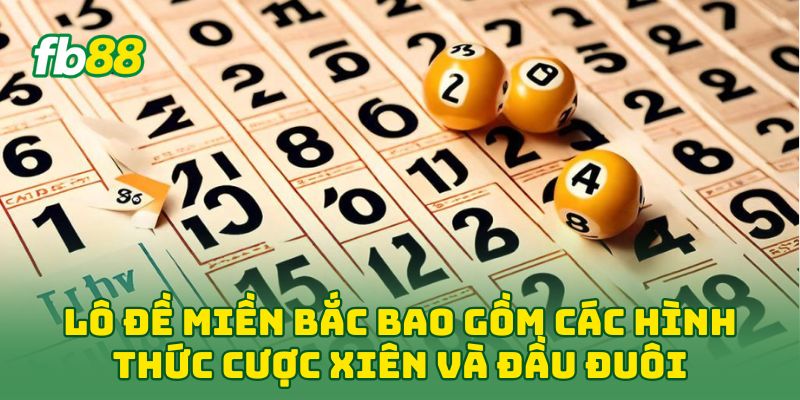 Lô Đề Miền Bắc: 5 Chiến Thuật Soi Cầu Giúp Bạn Về Bờ 100% Lô Đề Miền Bắc: 5 Chiến Thuật Soi Cầu Giúp Bạn Về Bờ 100%