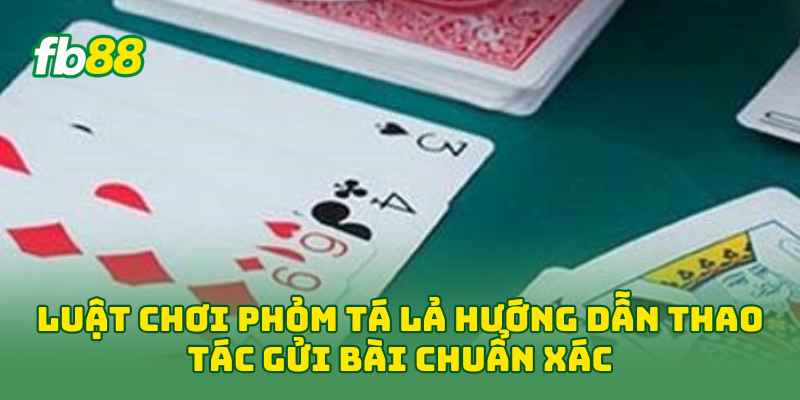 Luật Chơi Phỏm Tá Lả: 7 Quy Tắc Giúp Người Mới Chơi Chuẩn